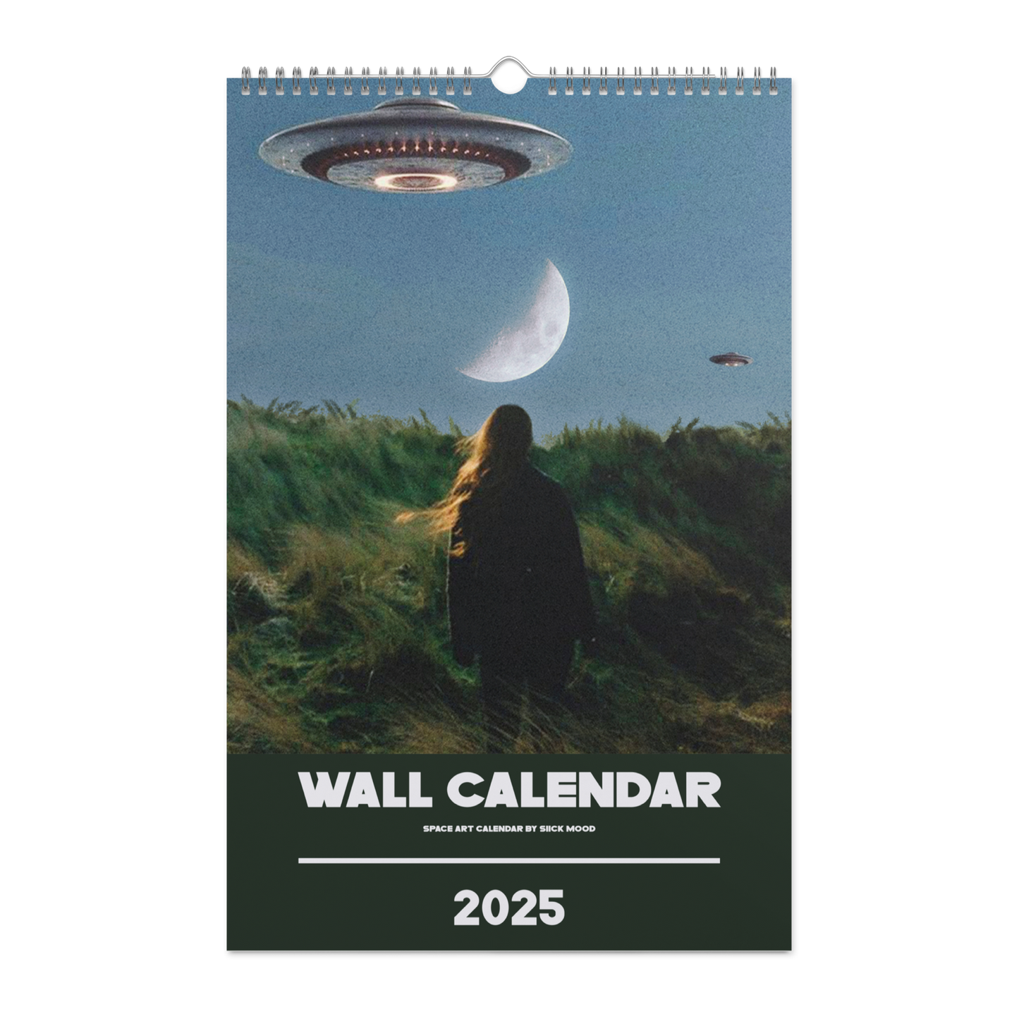 Wall calendar (2025)